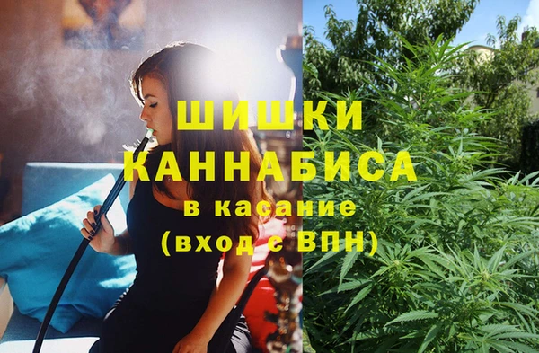 MESCALINE Аркадак