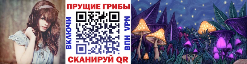 Галлюциногенные грибы GOLDEN TEACHER Отрадная